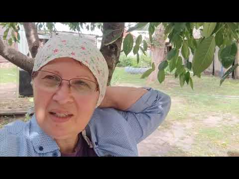 Видео: ДОМАШНИЙ ТВОРОГ, СЕРЫЕ ЩИ И ОГОРОДНЫЕ РАБОТЫ