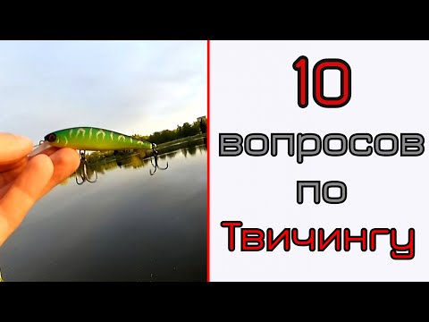 Видео: Твичинг. Самые часты вопросы!