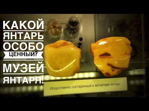 Видео: Серия № 3 Музей янтаря Калининград. Цены на Янтарь. Какой янтарь дорогой?