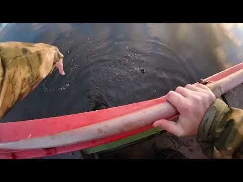 Видео: Gopro  video test fishing 1080p Pike and Perch/ Asaris un Līdaka/ Щука и окунь