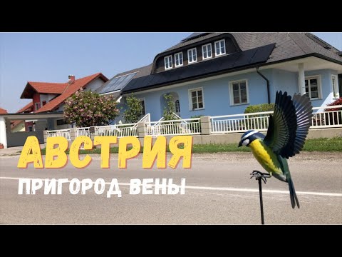 Видео: СТОИТ ЛИ УЕЗЖАТЬ ИЗ ВЕНЫ. КАК ЖИВУТ АВСТРИЙЦЫ В ДЕРЕВНЯХ.