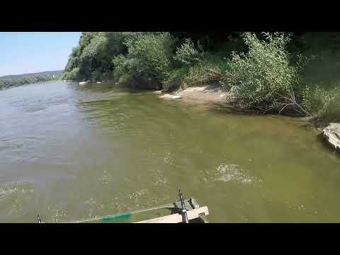 Видео: Рибалка на Дністрі 2021 шоста 05 08 21