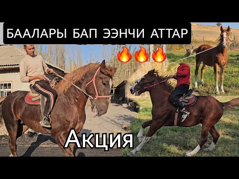 Видео: 24 октября 2025 г.