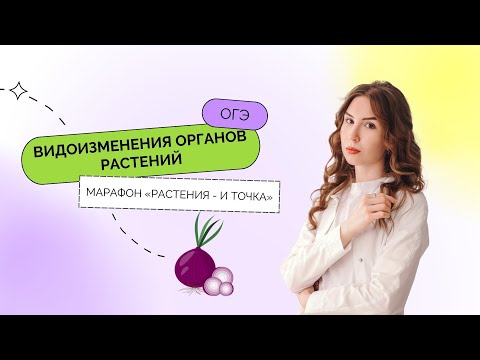 Видео: День 3. Видоизмененные органы растений и практика – Марафон «Растения – и точка» | ОГЭ 2023