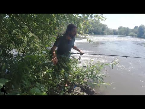 Видео: 🎣 ВОДОСТОЈ НА ВАРДАР – ИНФО ЗА РИБАРИ! 🌊 #vardar #crna #fishing #рибарскавистина #риболов