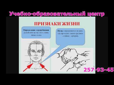 Видео: Фрагмент лекции «Терминальные состояния. Сердечно-легочная реанимация» (фрагмент лекции 20 мин)