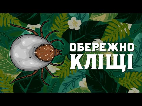 Видео: Чим небезпечний укус кліща? Міфи та правда