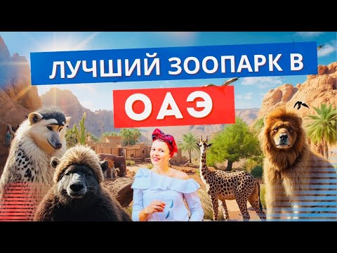 Видео: ЗООПАРК и ОКЕАНАРИУМ в Шардже / ОАЭ. Что посмотреть  в Дубае и Шардже с детьми