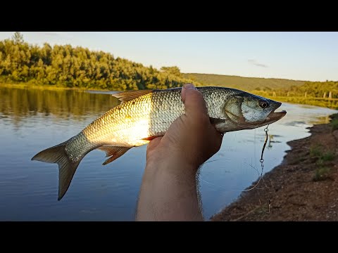 Видео: Наконец Я его Поймал, рыбалка на спиннинг на реке Уфа, открытие сезона.