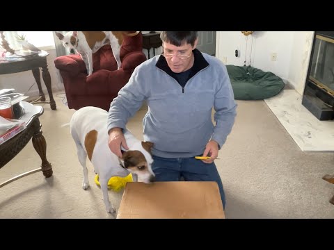 Видео: Кофемашина Ratio (серебро)