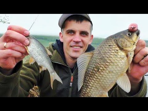 Видео: СУМАСШЕДШИЙ ЖОР В ДУРНУЮ ПОГОДУ! КЛЮЁТ СРАЗУ ПО ДВЕ РЫБЫ! рыбалка на карася 2024