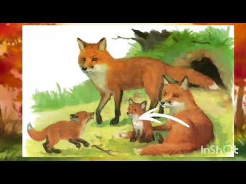 Видео: Розвиток мовлення. "Мешканці лісу: Лисичка" ранній вік