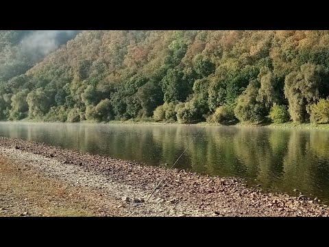 Видео: Рибалка на Дністрі 2021  друга