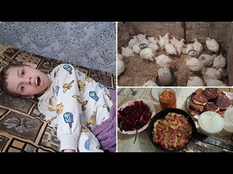 Видео: Наші будні 15 жовтня 2025