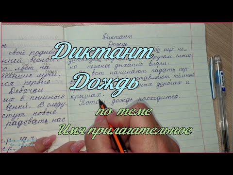 Видео: Диктант по теме Имя прилагательное