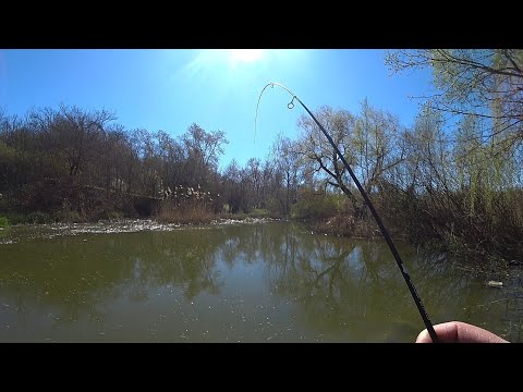 Видео: Спиннинг в ДУГУ!!! Спиннинг Favorite Blue Bird Nano BB1-602N-S 1,83м 0,2-1,5г.