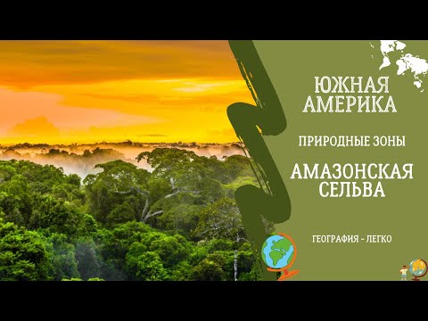Видео: Природные Зоны Южной Америки. Амазонская Сельва