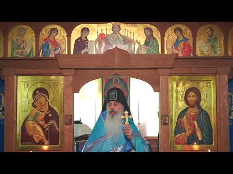 Видео: Родина в опасности. Что делать.