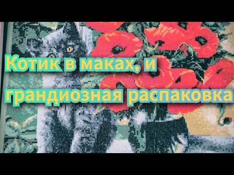 Видео: Котик в маках и грандиозная распаковка!