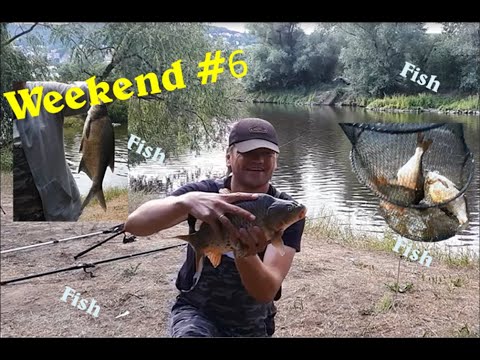 Видео: Weekend #6 – Рыбалка в Праге, секреты рыбака, как стать рыбаком в Чехии и как поймать карпа