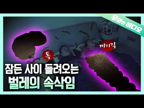 Видео: Вы можете спать с ошибками тоже, не зная,