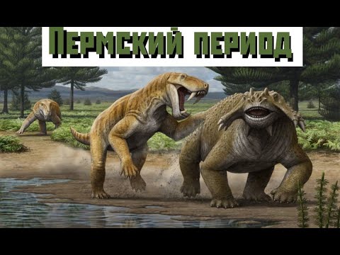 Видео: Пермский период