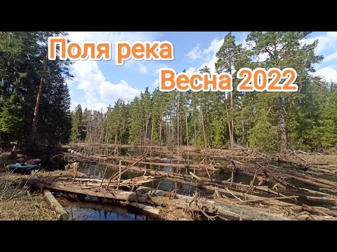 Видео: Река Поля, весенний сплав 2022