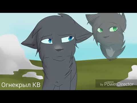 Видео: {Коты-Воители}||▪□Желудь и Синегривка□▪||[Лавина любви]