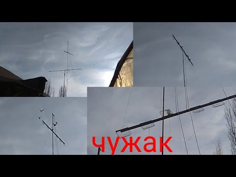 Видео: 11 декабря 2021 г.чужак ушладим зур учадикан уцинчи екан @кабутар @Ахмаджон уз@pigeon@pigeons