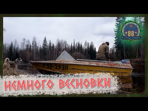 Видео: Регион 88 | Немного весновки