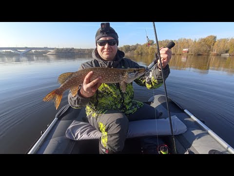 Видео: Клязьминское водохранилище. 19.10.24.