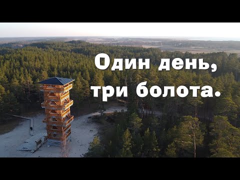 Видео: Заповедники Эстонии. Поиски бобра. Три болота за один день.