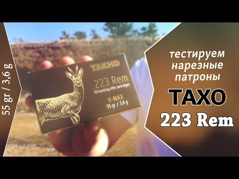 Видео: Тест нарезных патронов ТАХО 223 Remington, пуля V-MAX 3,6 г