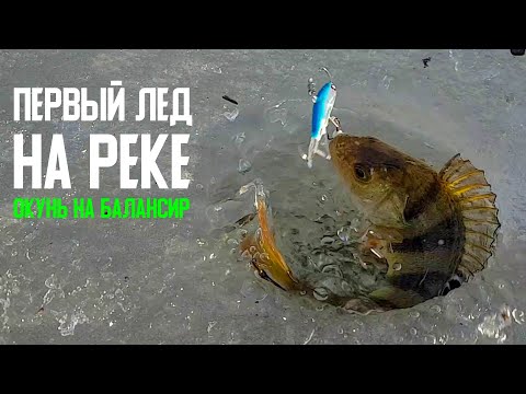 Видео: Первый лед на реке! Раскачал окуня на балансир! Жор окуня!