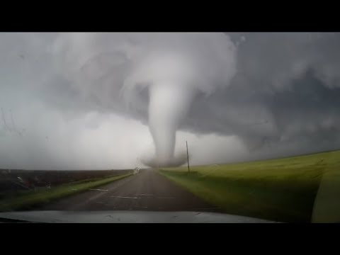 Видео: 20 Случаев, Когда Природа Сошла с Ума