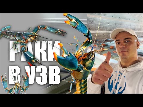 Видео: 4. Сантехника в УЗВ! Мини УЗВ для раков!