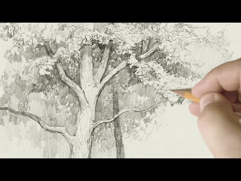 Видео: Виды штриховки в рисунке. Музыка карандаша | Types of hatching in a drawing. Pencil music