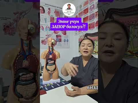 Видео: ЭМНЕ ҮЧҮН ЗАПОР(ИЧ КАТУУ) БОЛОСУЗ