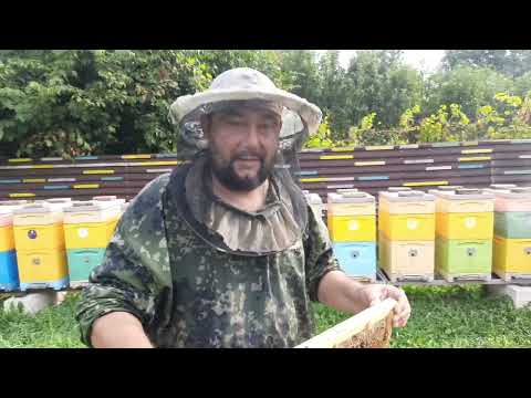 Видео: Август.Жара.Сезон Продолжается!!!