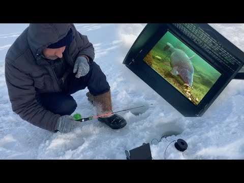 Видео: Зимняя видео рыбалка Николя! Купил Новый дисплей с камерой для рыбалки!