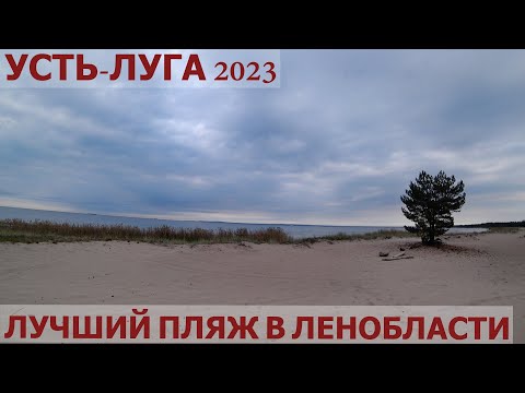 Видео: УСТЬ-ЛУГА 2023/КУРГАЛЬСКИЙ ЗАКАЗНИК/ПИКНИК
