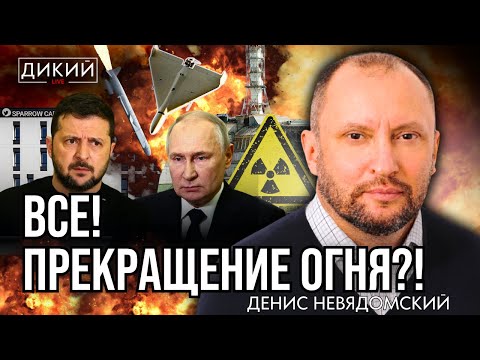 Видео: СТЕНА НЕПОНИМАНИЯ, ИЛИ ОСТАТКИ РАЗУМА. ДЕНИС НЕВЯДОМСКИЙ ДЛЯ ДИКИЙ LIVE
