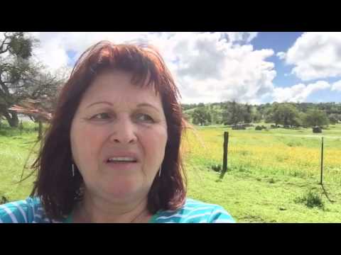 Видео: МОМЕНТ ИСТИНЫ. 🍀БРАЧНЫЙ КОНТРАКТ.