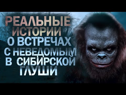 Видео: РЕАЛЬНЫЕ ВСТРЕЧИ С НЕВЕДОМЫМ В СИБИРСКОЙ ГЛУШИ | СИБИРСКАЯ ЖУТЬ