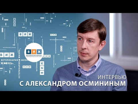 Видео: Интервью с Александром Осмининым