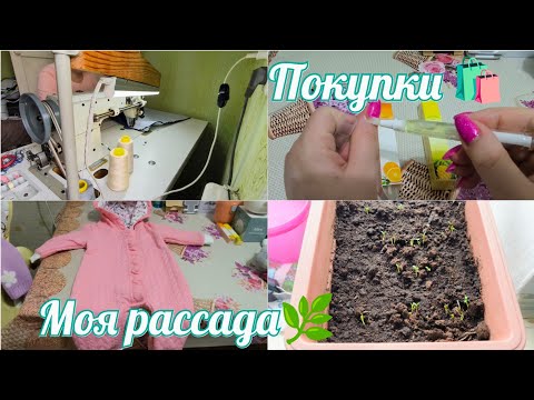 Видео: Сделали диванчики в суши-кафе🍱Моя рассада🌿 Покупки 🛍️