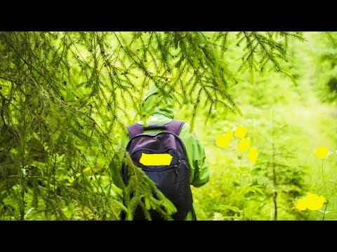 Видео: Выживший на Аляске. Наука выживания / SURVIVAL SCIENCE (Охотник и рыболов)