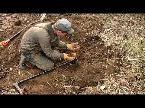 Видео: По верхам было не густо, в глубине - совсем не пусто...#404