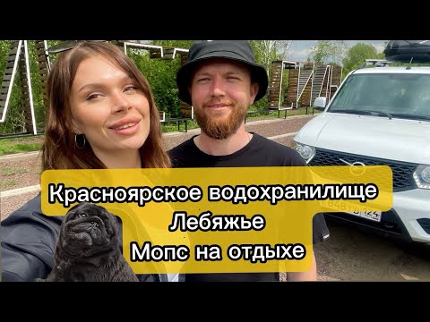 Видео: Песчаный пляж в Сибири. Выходной на Лебяжье. Красноярское водохранилище. Мопс ушел в отрыв.