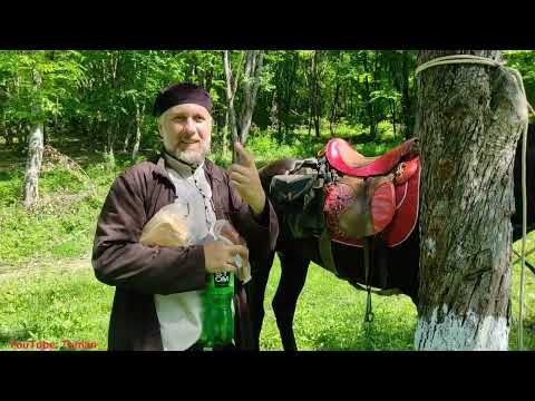 Видео: Конный поход с Подписчиками в Лес. Лошади, Туман, Горы , Лес.